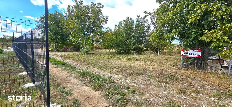 Teren intravilan Manastirea, Buftea, 500mp sau 877mp, 0% comision - 15