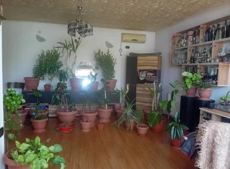 Casă cu Teren 300 Mp în Central