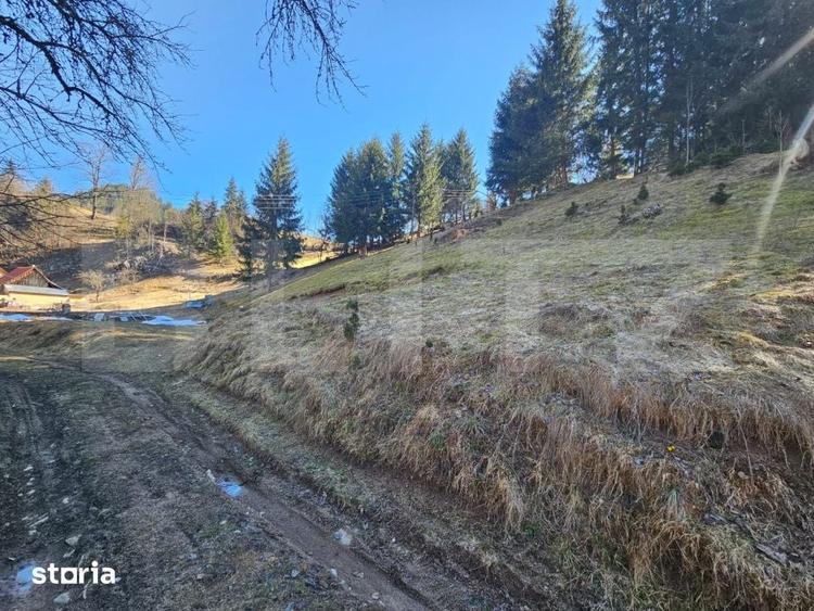 Teren de 2977 mp, în Scărișoara