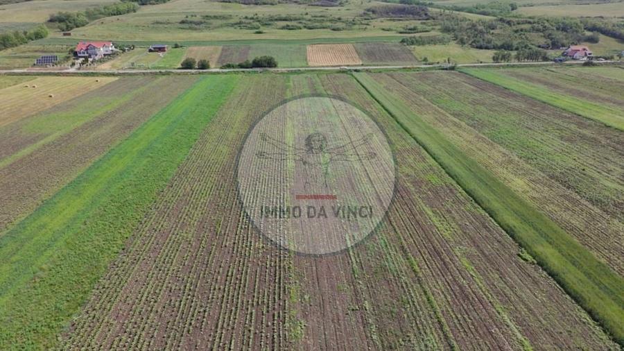 Teren de 10670 mp, în Borșa