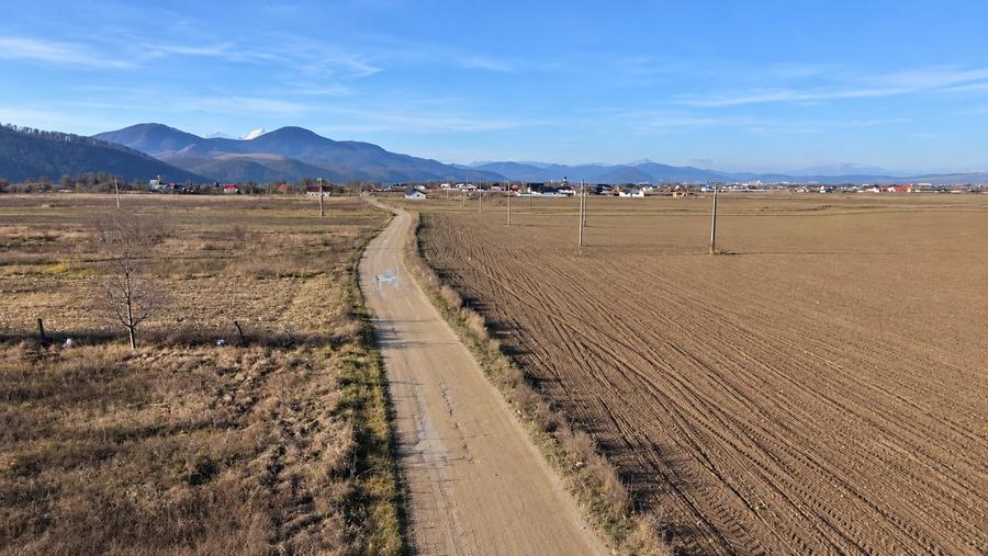 Teren intravilan de 3600 mp, în Dumbrava Roșie