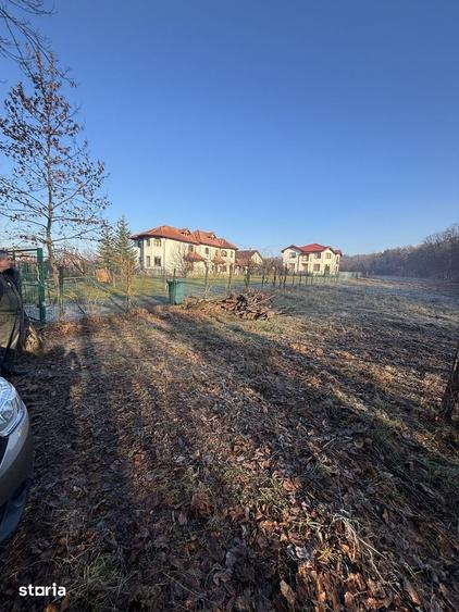 Teren de 3676 mp, în Păulești