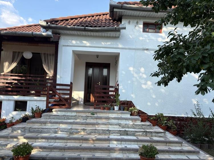 Casă cu 3 camere în Vințu de Jos