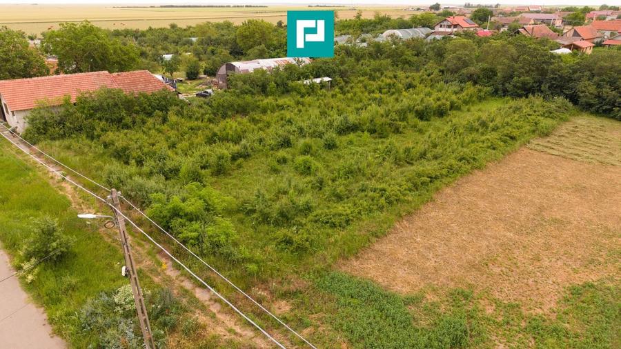 Teren agricol intravilan de 2398 mp, în Tisa Nouă