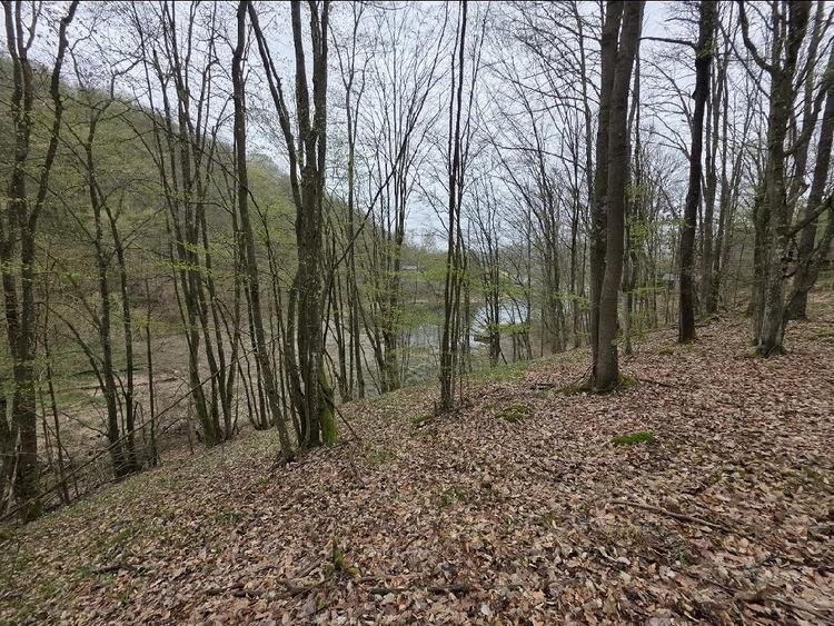 Teren de 3915 mp, în Hăuzești