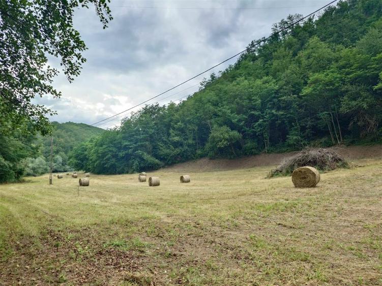 Teren intravilan de 5800 mp, în Podele