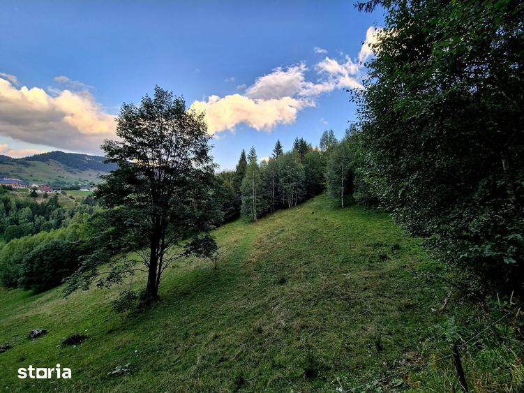 Teren investitie 8635 mp extravilan , Pestera Brasov - 5