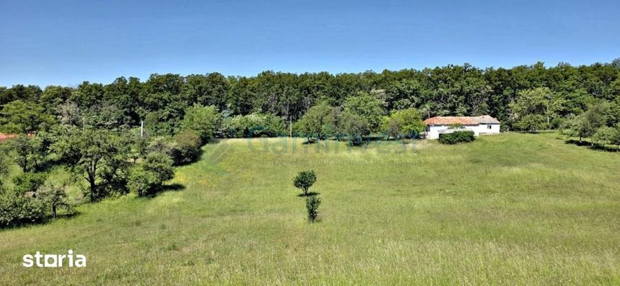 Casă cu 4 camere cu Teren 2670 Mp în Vârciorog