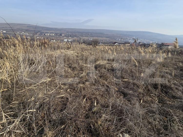 Teren agricol extravilan de 6300 mp, în Exterior Nord