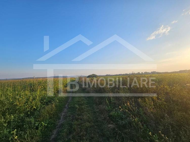Teren Construcții intravilan de 1476 mp, în Periferie