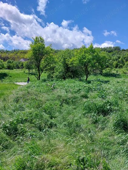 Teren de 2170 mp, în Morău