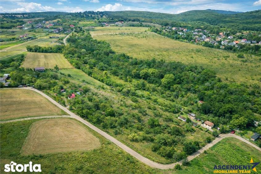 Teren de 4500 mp, în Ilieni