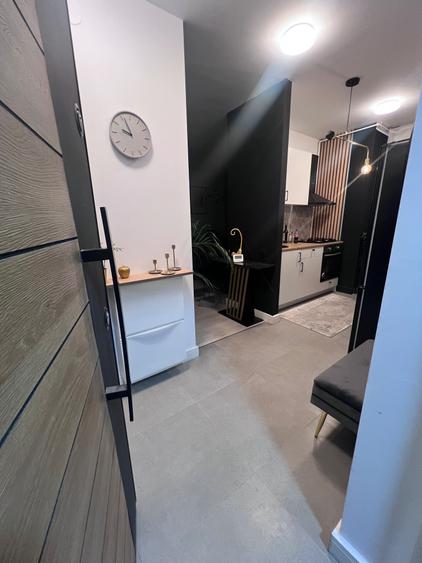 Studio dublu Aviatiei 10 min metrou Aurel Valicu , Promenada Mall, Herastrau - 5