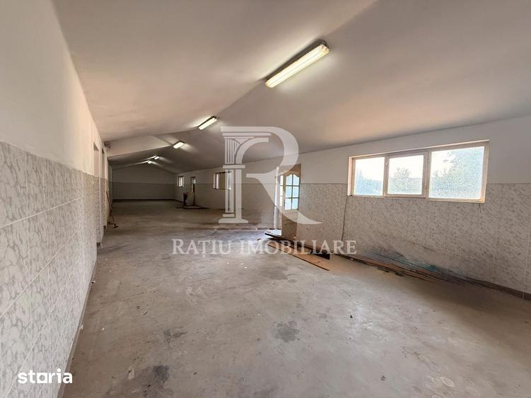 Casă cu Teren 3200 Mp în Sântandrei