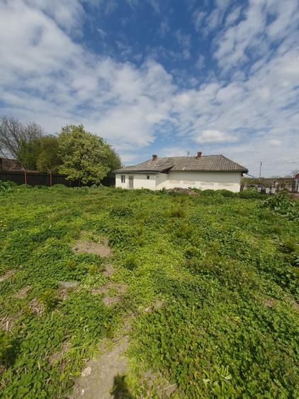 Casă individuală cu 3 camere cu Teren 1909 Mp în Nord