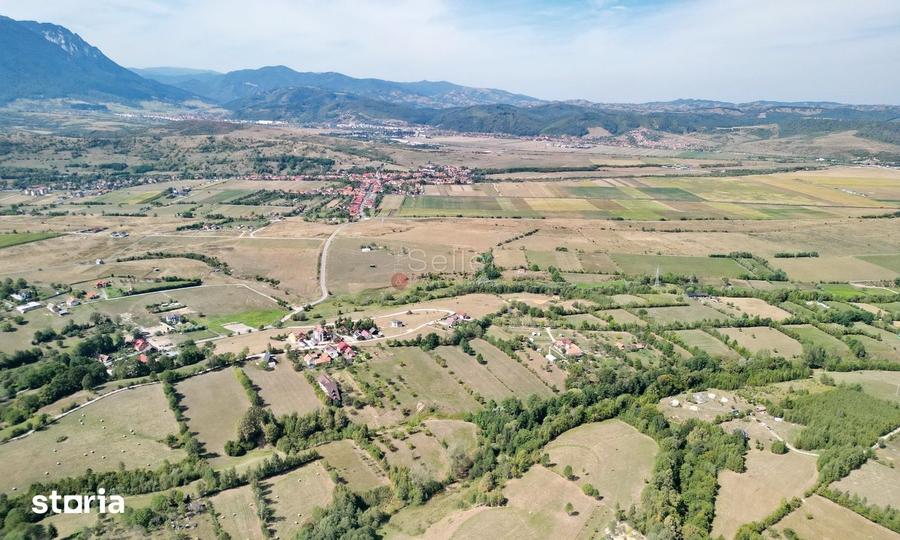 Teren de 10000 mp, în Bran