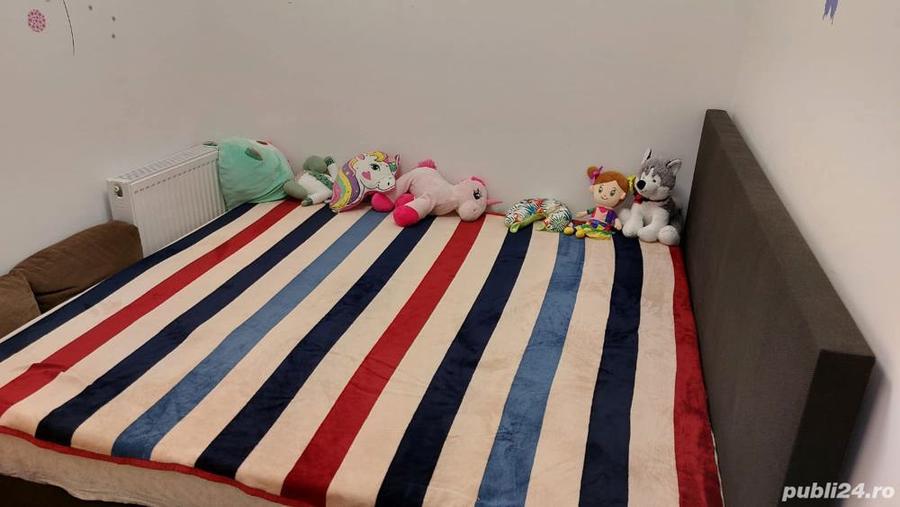 Apartament cu 2 camere semidecomandat în Take Ionescu