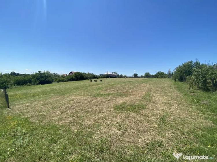 Proprietar - Vand teren 4300 mp (intravilan + extravilan) in comuna Cocu, Arges - 1
