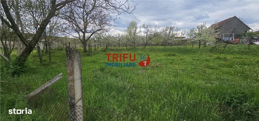 Casă cu 2 camere cu Teren 3101 Mp în Galda de Jos