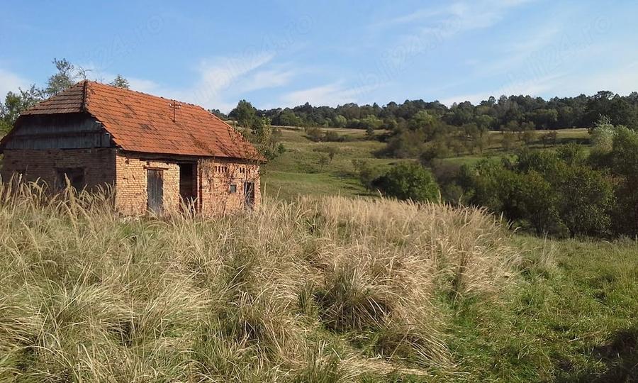 Casă cu Teren 4200 Mp în Șard