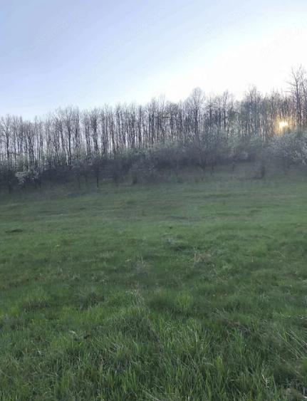 Teren de 4309 mp, în Căinelu de Jos