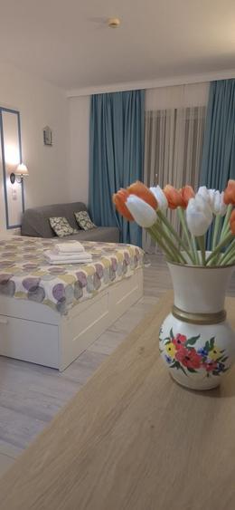 Apartament decomandat în Central