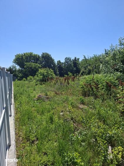 Casă cu 5 camere cu Teren 3000 Mp în Central