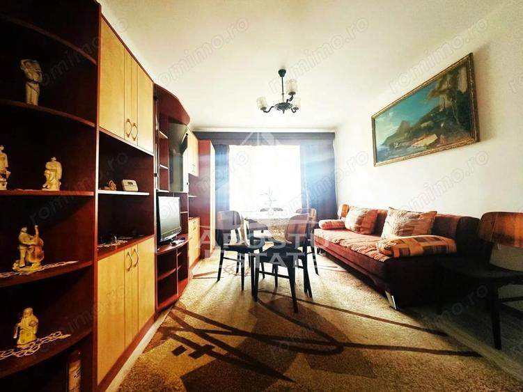 Apartament cu 2 camere semidecomandat, mobilat în Podgoria