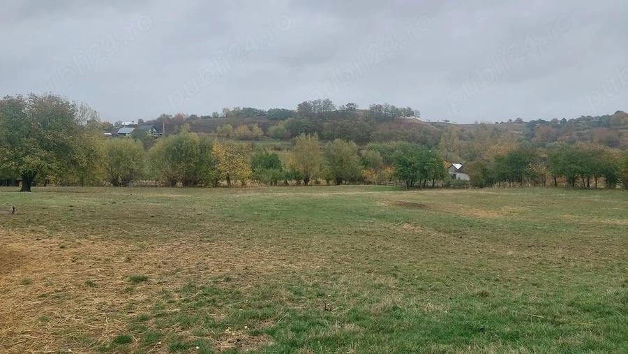 Teren de 6900 mp, în Rotopănești