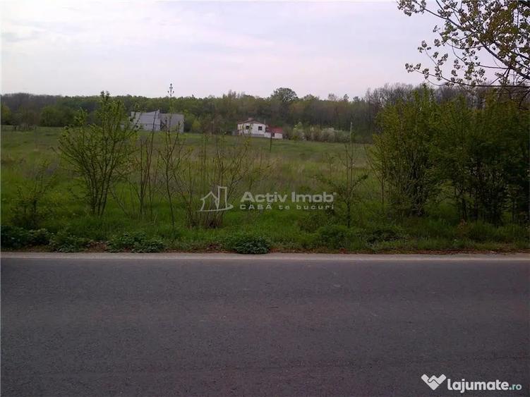 Teren de 5000 mp, în Ciolpani