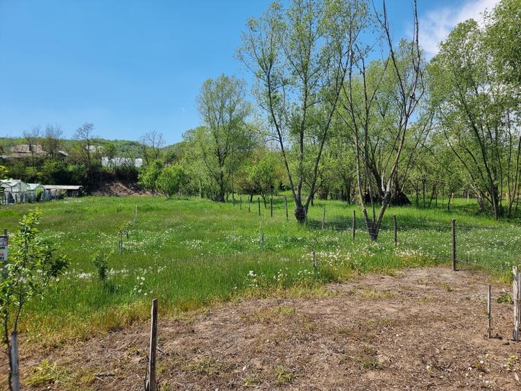 Teren Construcții intravilan de 1809 mp, în Moțăieni
