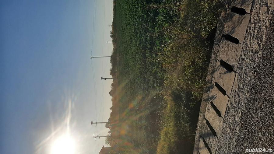 Teren de 2678 mp, în Remuș