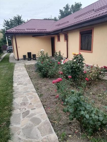 Casa superba la Almas - 8