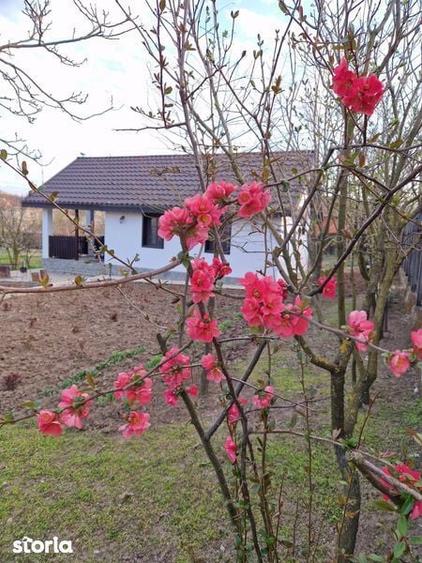 Casă cu 1 camere cu Teren 2000 Mp în Lăpuș Argeș