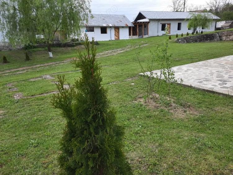 Spațiu comercial, de 723 mp, în Valea Cricovului