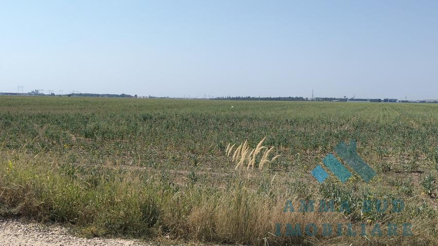 Teren Construcții intravilan de 7276 mp, în Popești-Leordeni
