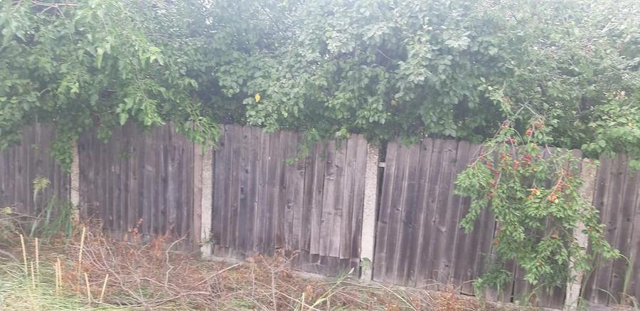 Casă cu 3 camere cu Teren 1186 Mp în Bala