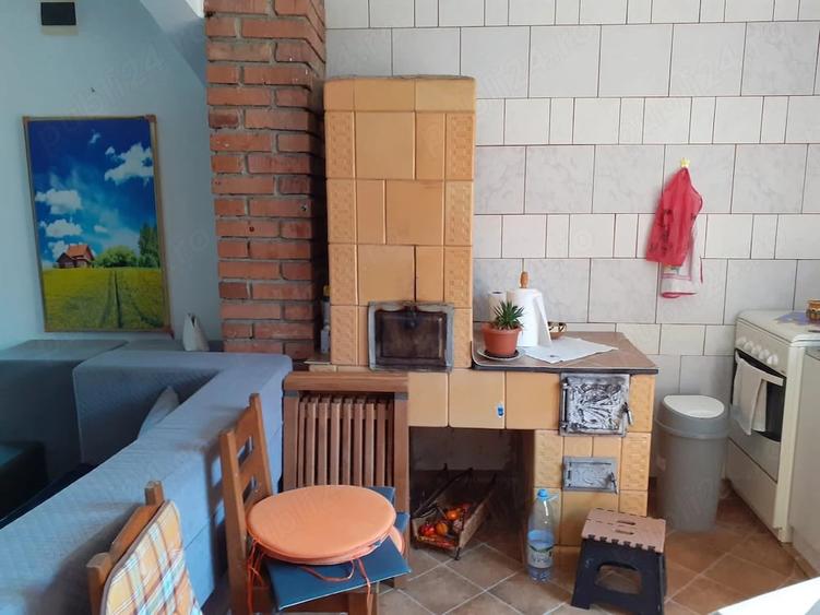 Casă cu Teren 8000 Mp în Dăbâca