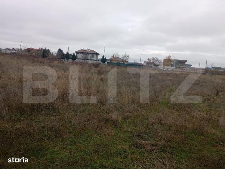 Spațiu comercial, în Priseaca