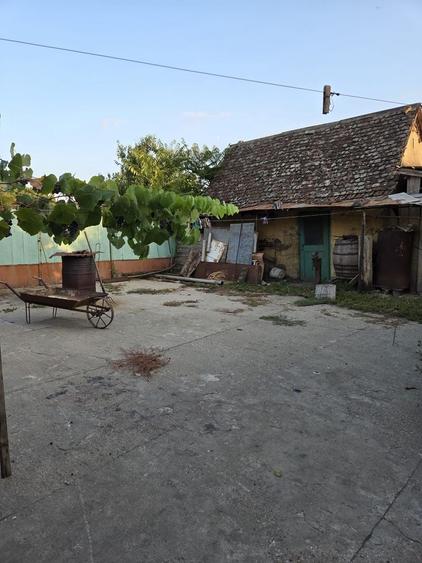 Casă individuală cu 3 camere cu Canalizare în Orțișoara