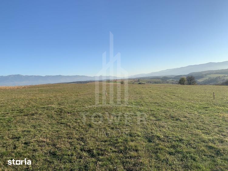 Teren de 650 mp, în Roșia