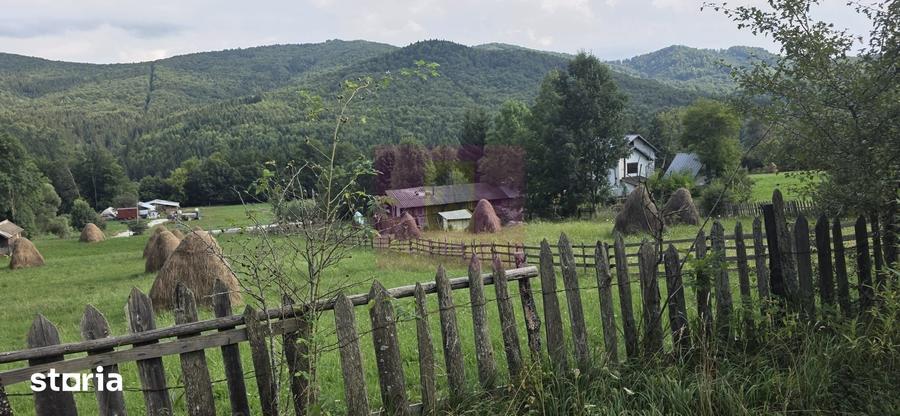 Teren intravilan de vanzare 3500 mp in Valea Doftanei - 6