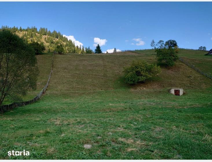 Teren de 1724 mp, în Ortoaia