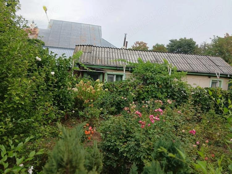 Casă cu 2 camere cu Teren 1050 Mp în Buda