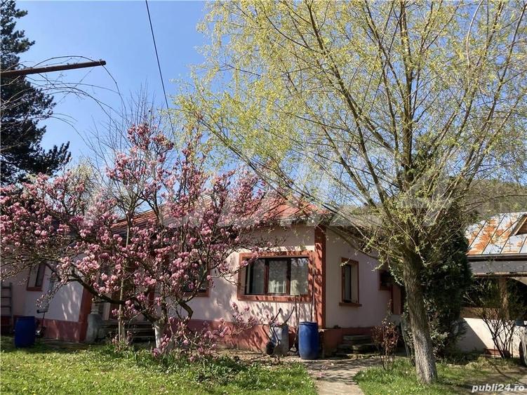 Casă cu 8 camere în Coțofenești