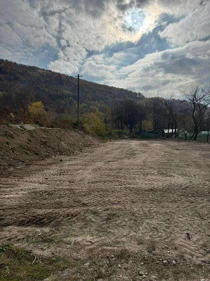 Teren de 8000 mp, în Păuliș