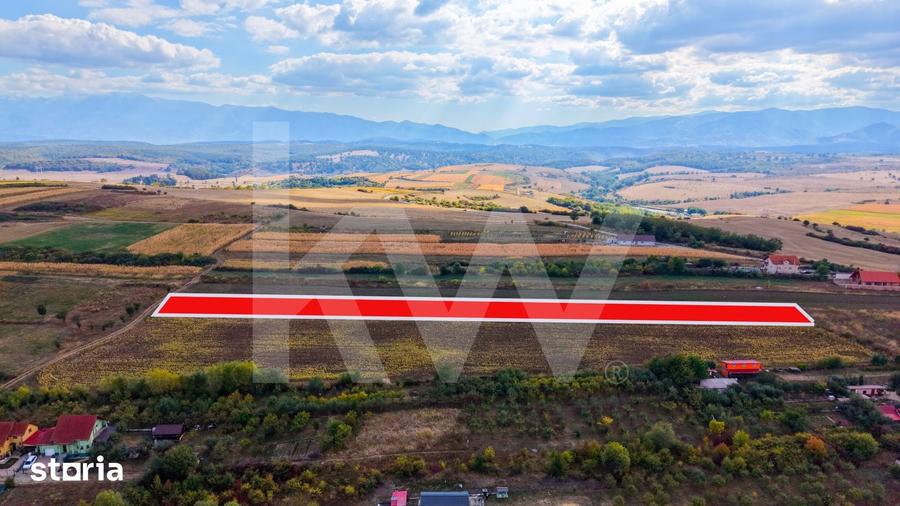 Teren de 5000 mp, în Câineni