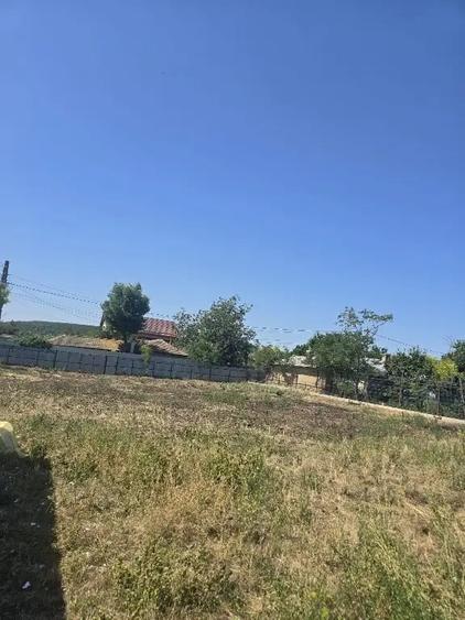 Teren de 1100 mp, în Frumușița