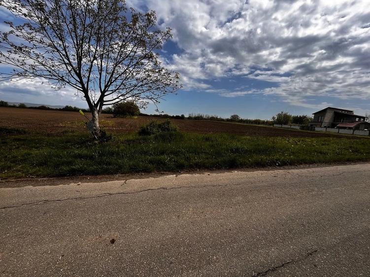 Teren de 1700 mp, în Berceni