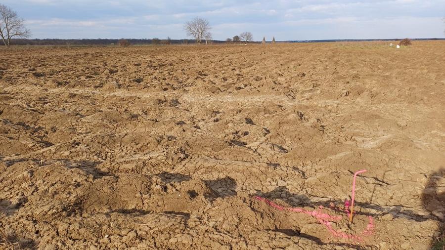 Teren agricol intravilan de 5093 mp, în Moara Vlăsiei